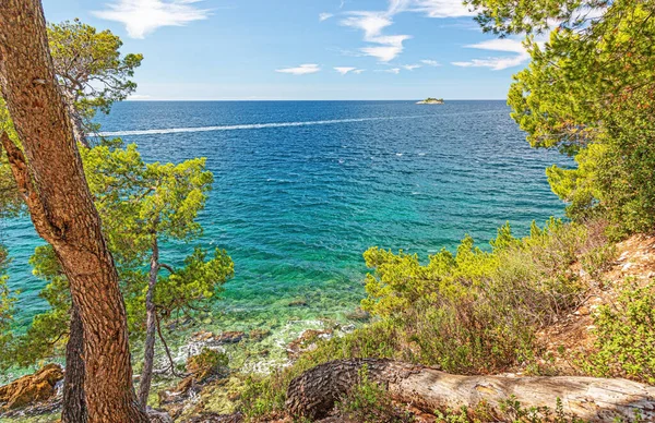 Yazın tipik Istria kıyı manzarasına bak — Stok fotoğraf