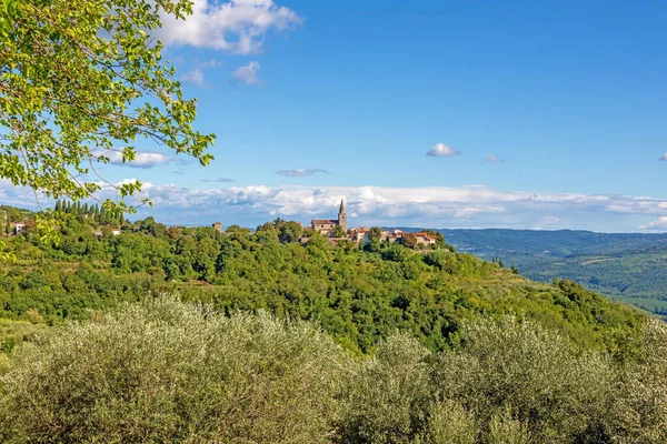 Distante Vista Famosa Ciudad Medieval Groznjan Península Istria Durante Día — Foto de Stock