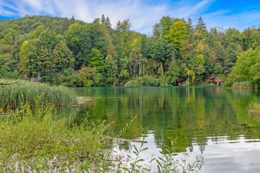 Yaz aylarında Hırvatistan 'daki Plitvice göllerindeki cennet gibi göl milli parkının manzarası