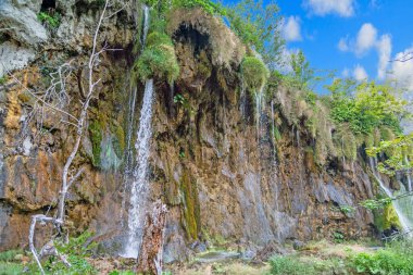 Hırvatistan 'daki Plitvice Gölleri Ulusal Parkı' ndaki bir şelalenin resmi, yaz aylarında uzun süreli pozlama