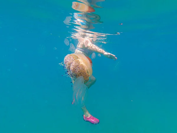 Des Méduses Côtelées Colorées Approchent Dangereusement Nageur Dans Mer Méditerranée — Photo