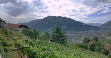 Dorf Tirol 'deki üzüm bağlarının tepesinde kaleyi gören insansız hava aracı.