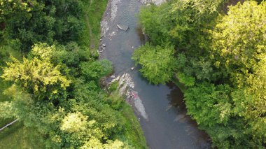 Karpat Dağlarındaki Nehir