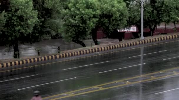 Deszcz Podczas Zamknięcia Upalne Lato — Wideo stockowe