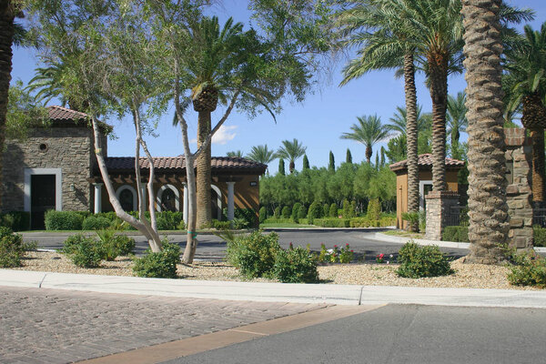 Homes alongside palm tree lined avenue.