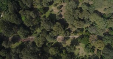 Lima Peru 'daki bir parkın üzerinde İHA ile çekilmiş bir video.