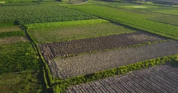 Vídeo Aéreo Fazenda Rural Campo Junin Peru Vale Mantaro Dos — Vídeo de Stock