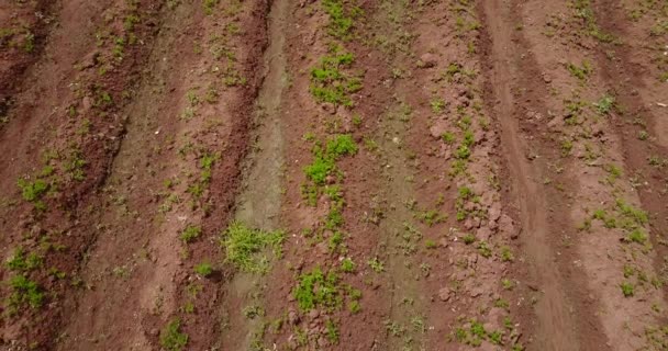 Vídeo Aéreo Fazenda Rural Campo Junin Peru Vale Mantaro Dos — Vídeo de Stock