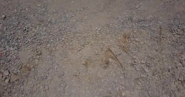 Cieneguilla 'nın hava videosu. Lima Peru kırsalında.