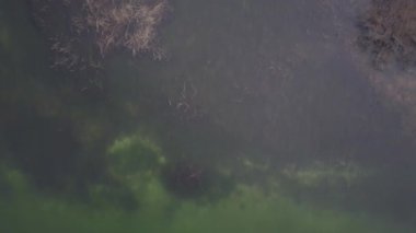 Fransa 'daki Sylans Gölü üzerinde insansız hava aracı ve eski bir harabe..