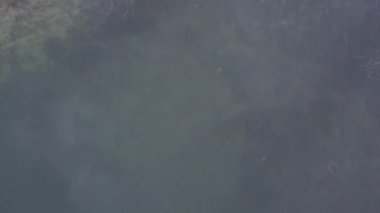 Fransa 'daki Sylans Gölü üzerinde insansız hava aracı ve eski bir harabe..