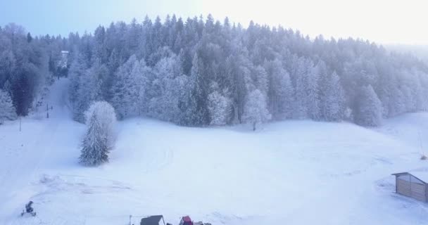 Vídeo Aéreo Feito Com Drone Suíça Alpes Durante Inverno — Vídeo de Stock