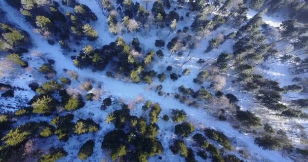 Luchtfoto Gemaakt Met Drone Zwitserland Alpen Tijdens Winter — Stockvideo