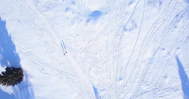 Vídeo Aéreo Realizado Con Dron Suiza Alpes Durante Invierno — Vídeos de Stock