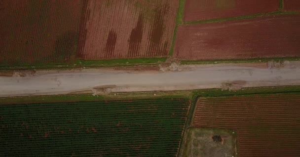 Vídeo Aéreo Fazenda Rural Campo Junin Peru Vale Mantaro Dos — Vídeo de Stock