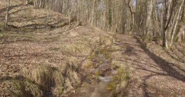 İsviçre Ormanı 'nın havadan çekilmiş görüntüleri. Avrupa 'da sonbahar sezonu.