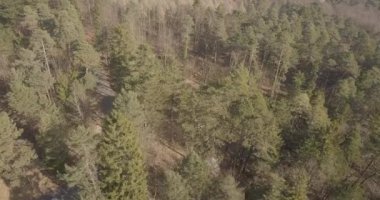 İsviçre Ormanı 'nın havadan çekilmiş görüntüleri. Avrupa 'da sonbahar sezonu.