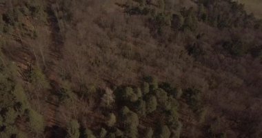 İsviçre Ormanı 'nın havadan çekilmiş görüntüleri. Avrupa 'da sonbahar sezonu.