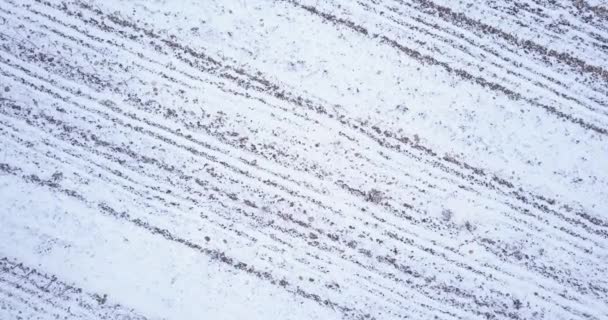 冬の間のスイスの農地の空中ビュー — ストック動画