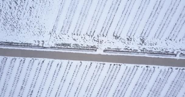 Vue Aérienne Des Terres Agricoles Suisse Pendant Hiver — Video