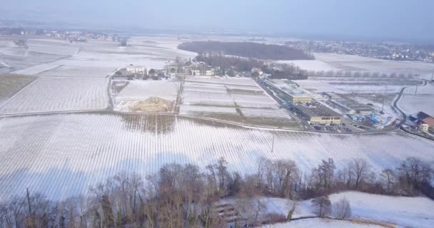 Вид Повітря Сільськогосподарські Угіддя Швейцарії Взимку — стокове відео