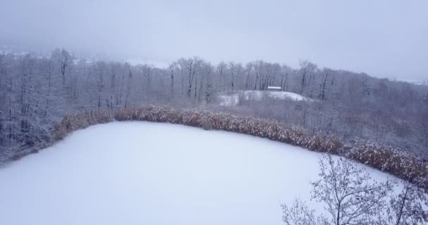 Vídeo Aéreo Del Bosque Suiza Congelado Nieve Congelada Tiempo Invierno — Vídeo de stock
