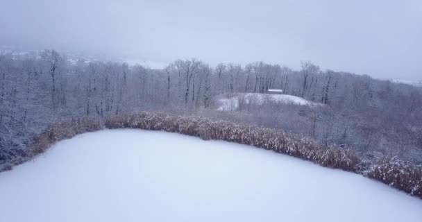 スイスの森の空中ビデオ 凍結し 雪が凍結 冬時間 — ストック動画