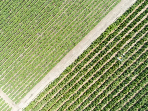 Αεροφωτογραφία Του Γεωργικού Τομέα Εικόνα Φτιαγμένη Drone — Φωτογραφία Αρχείου