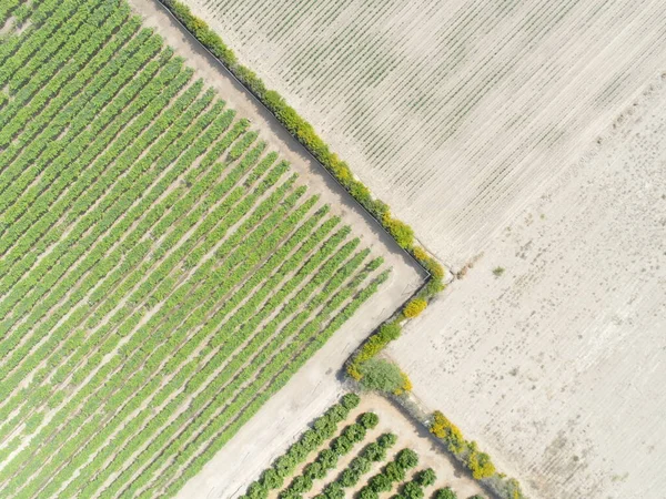 Letecký Obraz Pole Zemědělství Obrázek Vytvořený Dronem — Stock fotografie