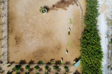 Cieneguilla 'nın İHA' sı Lima Peru 'nun hava görüntüsü. Atlar.
