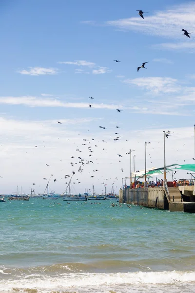 Barcos Pescadores Mar Piura Perú — Foto de Stock