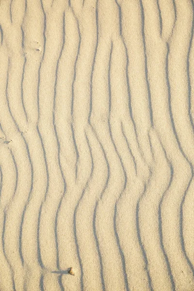 Obraz Piasku Plaży Tekstura Ziemi Spowodowana Przez Wodę Wiatr — Zdjęcie stockowe