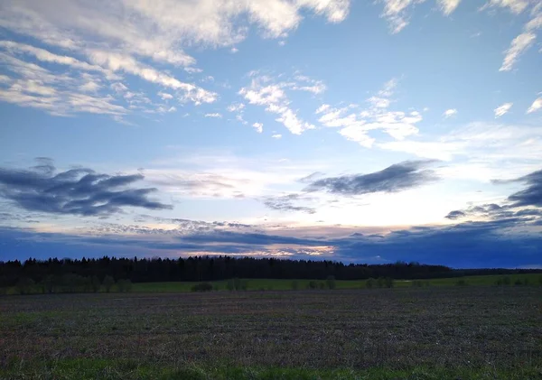 Sommersonnenuntergang Auf Waldhintergrund — Stockfoto