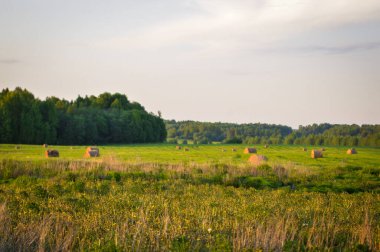 Akşamları tarlada saman yığınları