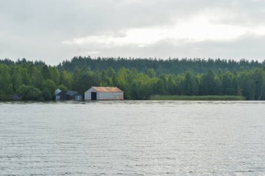 Nehir kenarında sakin bir sabah
