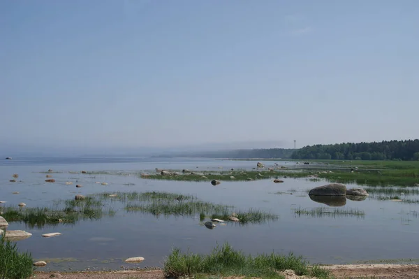 Sommer Ostseestrand Und — Stockfoto