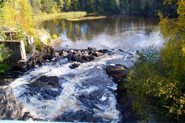 Waterval Herfstbos — Stockfoto