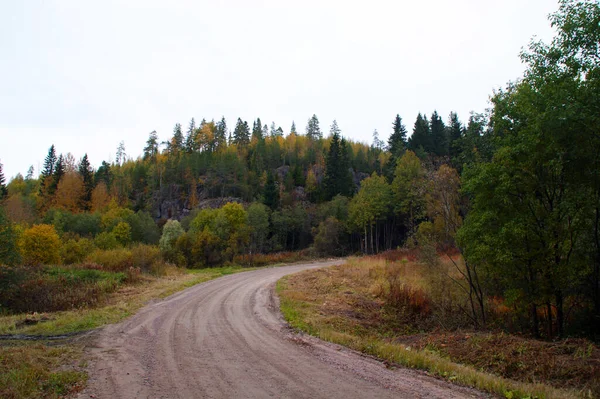 Sonbahar Ormanında Yol — Stok fotoğraf