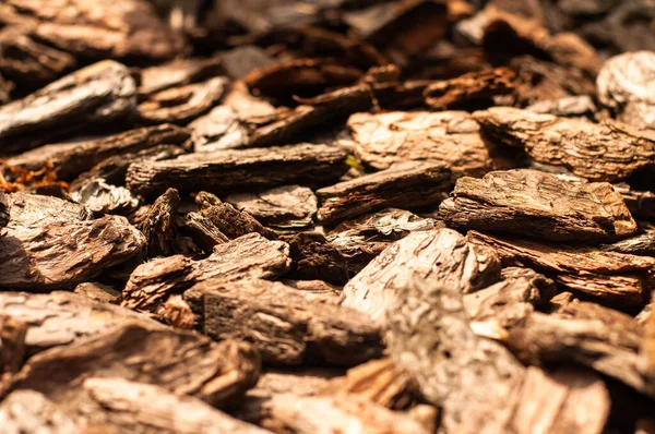 Bahçede Peyzaj Yapmak Için Odun Parçaları Ekolojik Arka Plan Toprak — Stok fotoğraf
