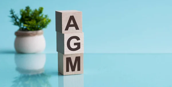 Agm年度大会首字母缩写为 蓝色背景的木制立方体 业务概念 — 图库照片