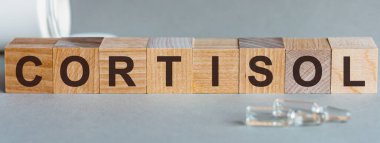 CORTISOL kelime yapı taşları ile yapılır. Ön manzara. Gri arkaplan üzerindeki CORTISOL metin desing, konsept için