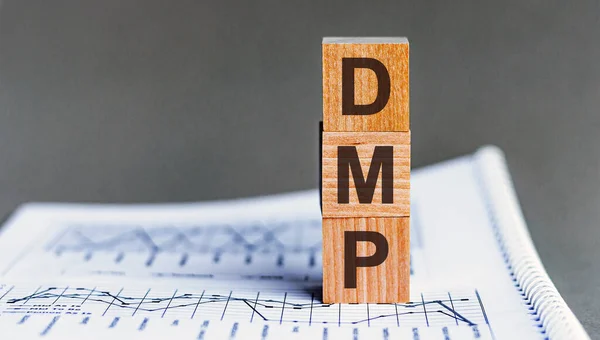 Holzwürfel Alphabete Bilden Das Wort Dmp Debt Management Plan Akronym — Stockfoto