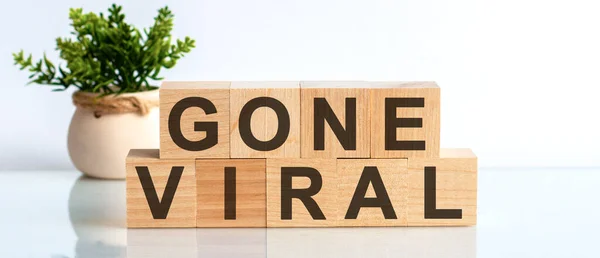 GONE VIRAL motivation text on wooden blocks business concept white background. Front view concepts, flower in the background. Wooden Blocks with the text: GONE VIRAL