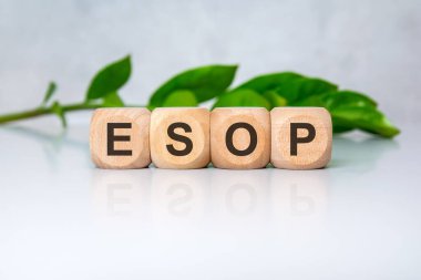 Ahşap bloklar parlak bir yüzeyde DONATE yazarken arkalarında yeşil yapraklar bırakıyor. Çalışanların hisse senedi mülkiyet planını göstermek için mükemmel..