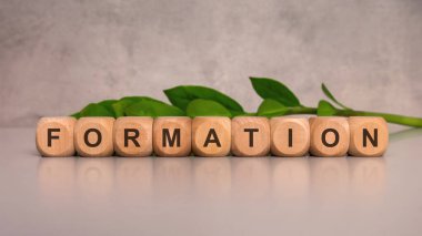 Doğal ahşap bloklar ve basılı harfler taze yeşil yapraklarla aydınlatma masasında kelime oluşumu oluşturuyorlar. Büyüme yapısı organizasyonu ve takım oluşturma kavramını temsil ediyor.