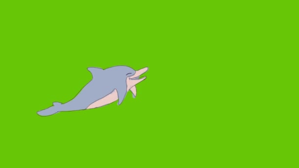 Springen Und Verspielt Delphin Animation Ausgeschnitten Mit Alphakanal Und Chroma — Stockvideo