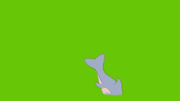 Hoppande Och Lekfulla Delfiner Animation Som Utskuren Med Alfa Kanal — Stockvideo