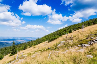 Giant Mountains - Karkonosze Mounatains Polonya doğal yaz peyzaj