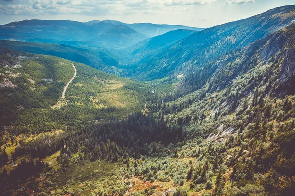 여름에 체코 거 대 한 산 골짜기와 가문비나무 숲의 아름 다운 광경 — 스톡 사진