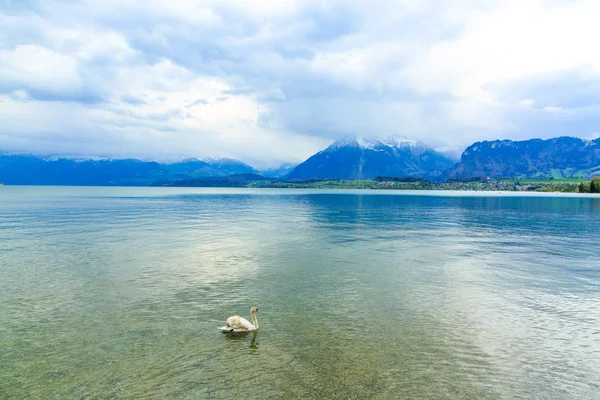 Lake Thun ve Alp Dağları şehrin Thun, İsviçre — Stok fotoğraf